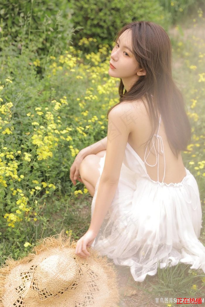超過10季的美劇都有哪些 · 白夜追兇最終boss是誰 熱門視頻